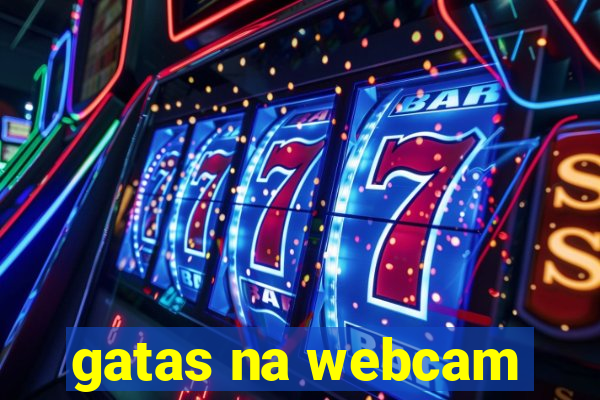 gatas na webcam